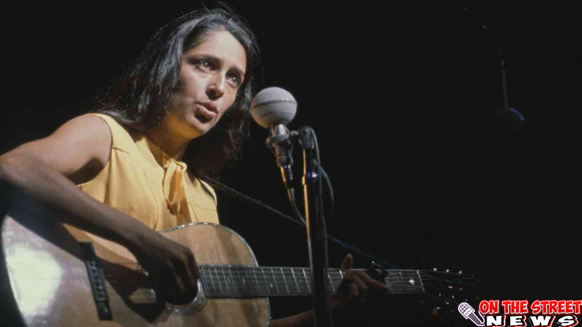 10 Hal yang Jarang Diketahui Tentang Joan Baez