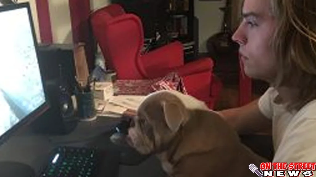 Dylan Sprouse Gagalkan 1 Perampokan di Rumahnya di LA!